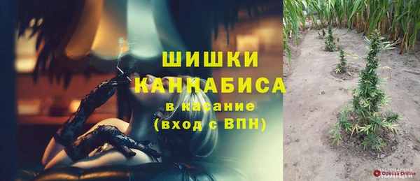сатива Козловка