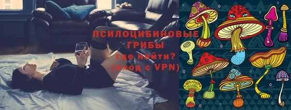 сатива Козловка