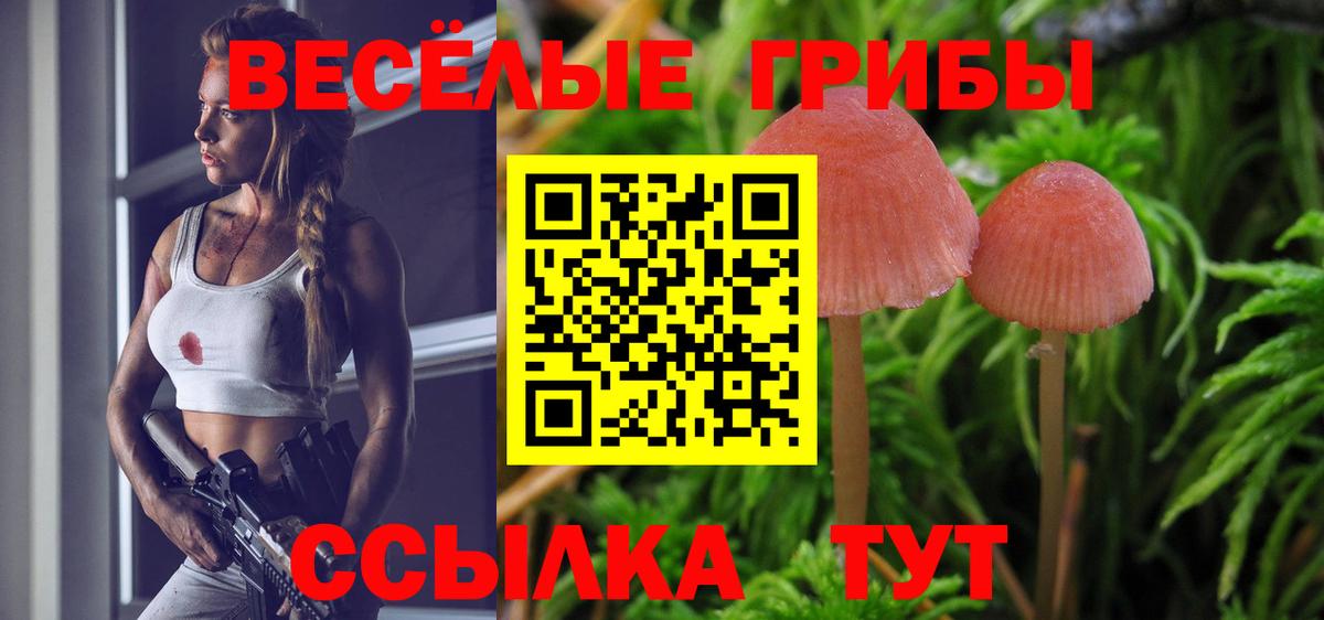 Галлюциногенные грибы ЛСД Родники