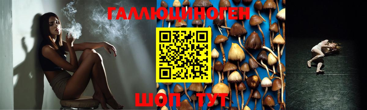 Псилоцибиновые грибы Cubensis  Вход с VPN  Родники  Псилоцибиновые грибы ЛСД 